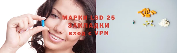 a pvp Аркадак