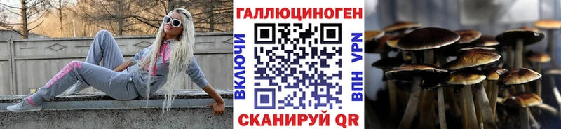 ОМГ ОМГ ссылка  Арсеньев  Псилоцибиновые грибы Psilocybine cubensis 